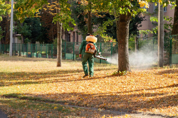 Best Affordable Pest Control Services  in Mcdade, TX