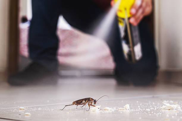 Best Best Pest Control Companies  in Mcdade, TX